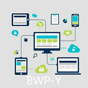 Business Website Yearly